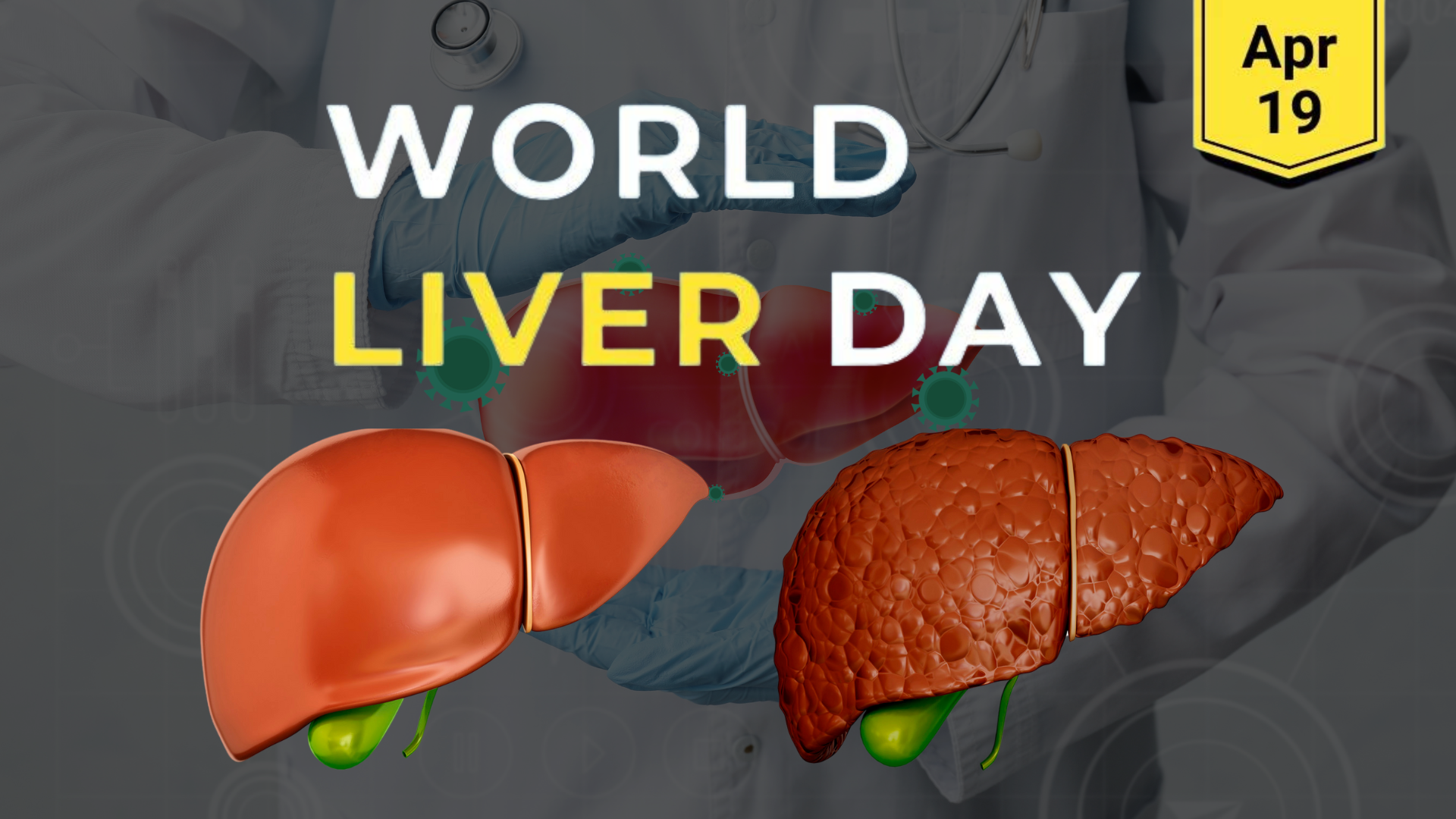 World Liver Day, 19 April 2024